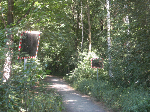 Berlin, 2010, Verkehrsspiegel am Waldweg, Stiftung Denkmal