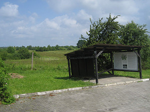 photoAfterLink_1444
