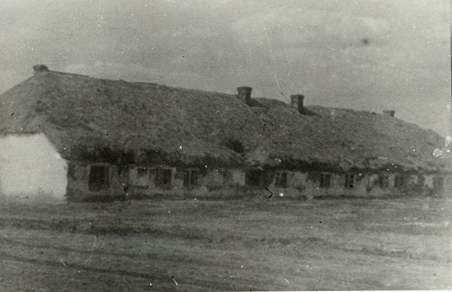 Bogdanowka, 1944, Einer der Schweineställe, in denen Juden zusammengepfercht waren, Zentralnij derzhawnij kinofotofonarchiw Ukraini im. H. S. Pshenychnoho (TsDKFFA), Kyiv-110