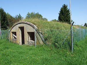 DSCF8909