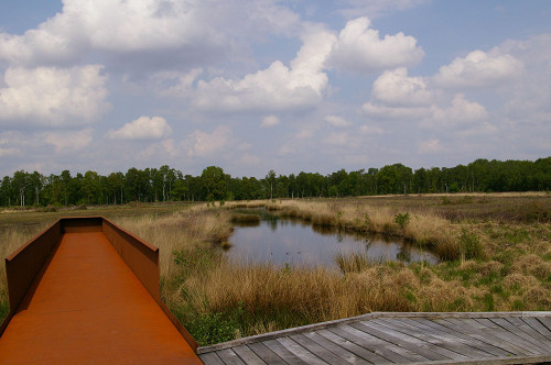 Esterwegen, 2012, Gelände der Gedenkstätte, Harry de Jong