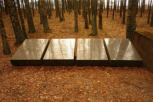 LT_Pogegen0991Manip