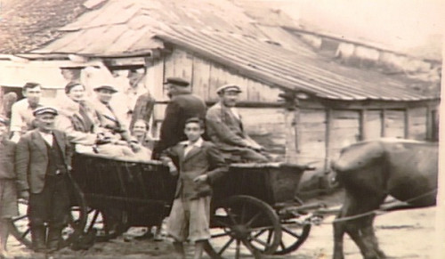 Torhowizja, 1937, Die jüdische Familie Miller vor dem Krieg, USC Shoah Foundation