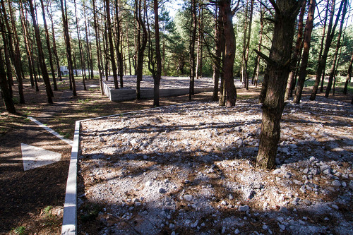 Prochid, 2015, Markierte Massengräber im Wald, Anna Voitenko