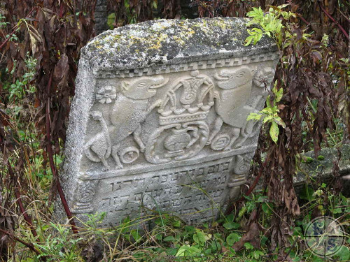Busk, o.D., Grabstein am Jüdischen Friedhof, Objedinennaja ewrejskaja obschtschina ukrainy, Jewgennij Schnajder