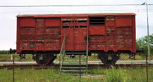 8200916760_1952bca677_o