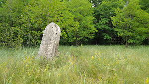 Alter_jüdischer_Friedhof2