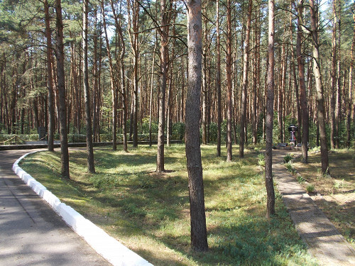 Glubokoje, 2013, Borok mit Massengräbern zu beiden Seiten, avner