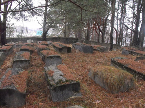Wilejka, 2011, Jüdischer Friedhof, Vadim Akopyan