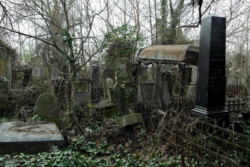 Botoschan, 2015, Jüdischer Friedhof, Christian Herrmann