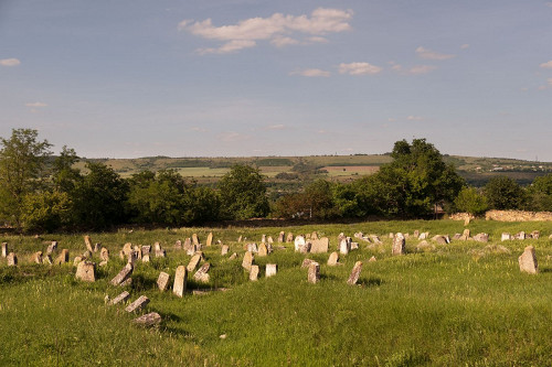 Vălcineţ, 2018, Jüdischer Friedhof, Christian Herrmann