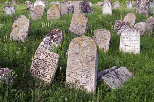 Vălcineţ, 2018, Jüdischer Friedhof, Christian Herrmann