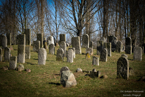 Warta, 2020, Auf dem jüdischen Friedhof, sieradz-praga.pl, Łukasz Piotrowski