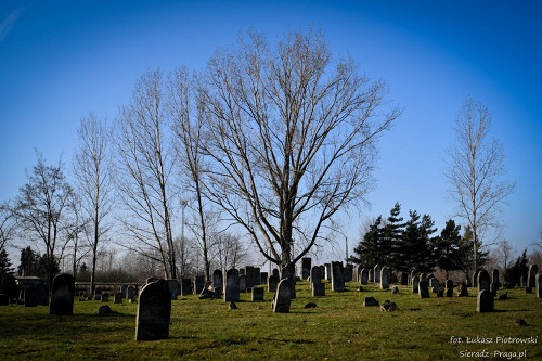 Warta, 2020, Jüdischer Friedhof, sieradz-praga.pl, Łukasz Piotrowski