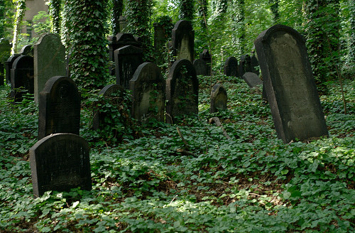 Gleiwitz, 2012, Jüdischer Friedhof, Tomasz Górny