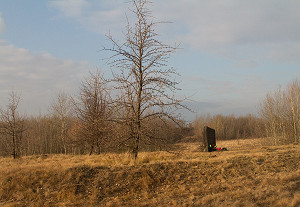 2020-04-03-090937IMG_3532