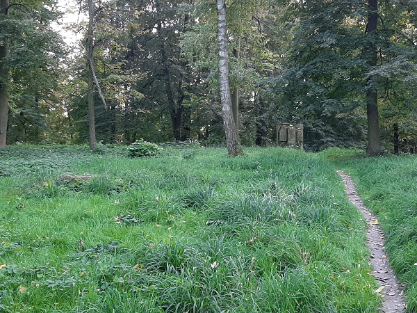 Szczebrzeszyn, 2021, Auf dem jüdischen Friedhof, Stiftung Denkmal