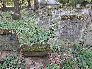 20210929_173609Zuschnitt