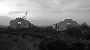 photoAfterLink_114