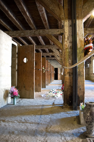 Triest, 2007, Zellentrakt, Giancarlo Massari