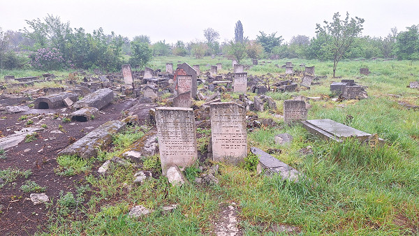Dubossary, 2026, Alte Gräber auf dem jüdischen Friedhof, Stiftung Denkmal