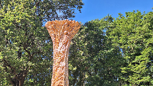 20260624_092129