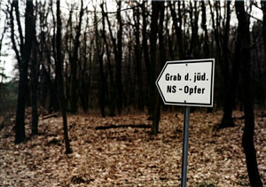 photoTopicalLink_134
