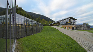 aussen_6
