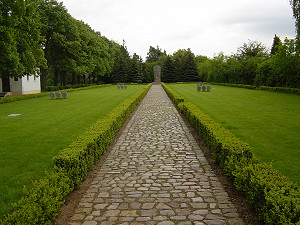 photoAfterLink_236